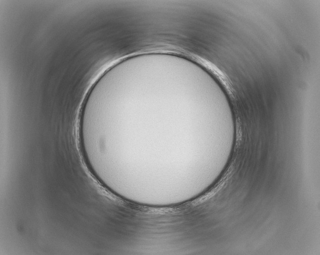 X0000115651423200912081115