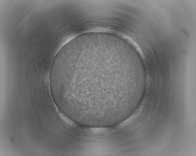 X0000115651425200912081115