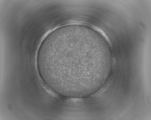 X0000115651427200912081115