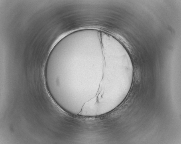 X0000115651428200912081116