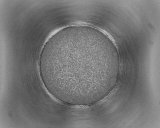 X0000115651429200912081116