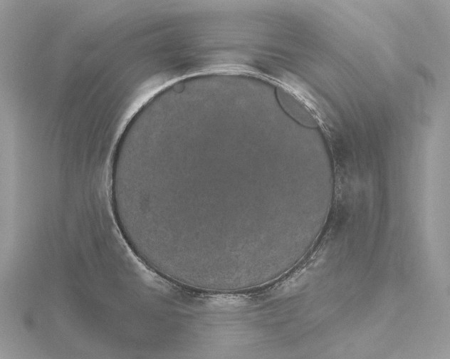 X0000115651430200912081116