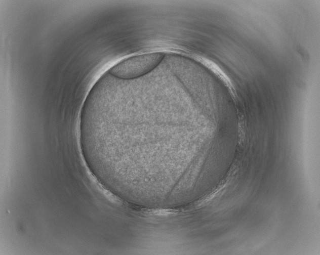 X0000115651431200912081116