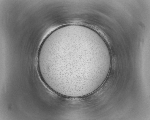 X0000115651432200912081116