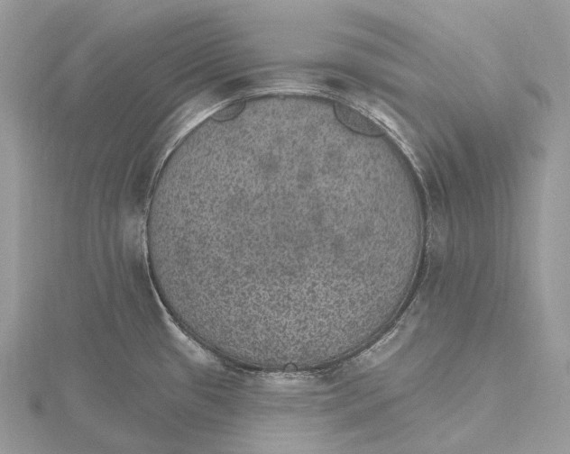 X0000115651433200912081116