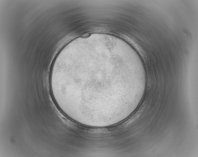 X0000115651434200912081116