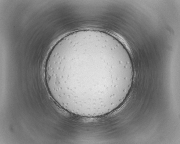 X0000115651435200912081116