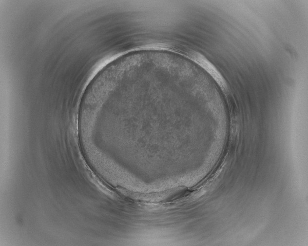 X0000115651436200912081116