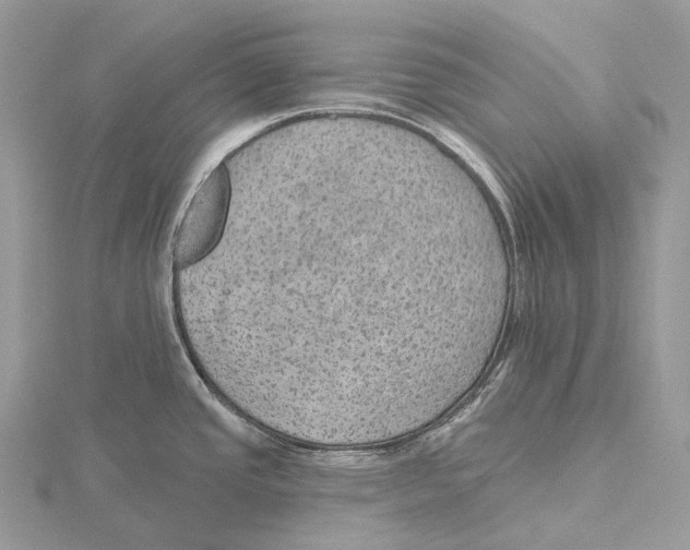 X0000115651437200912081116