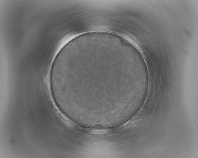 X0000115651440200912081116