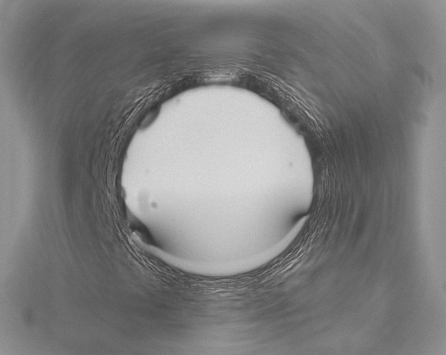 X0000115651441200912081115