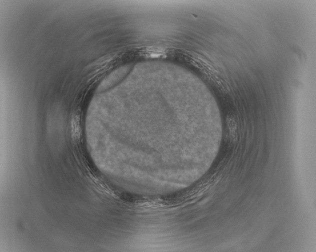 X0000115651442200912081115