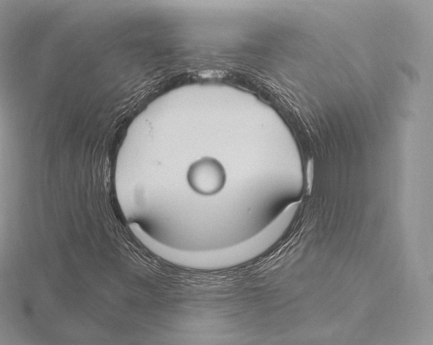 X0000115651443200912081115