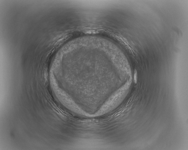 X0000115651444200912081115