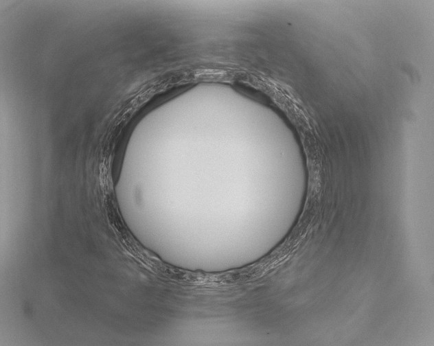 X0000115651445200912081115