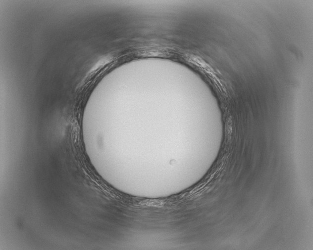 X0000115651446200912081115