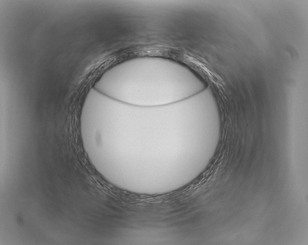 X0000115651447200912081115