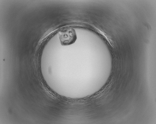 X0000115651448200912081115