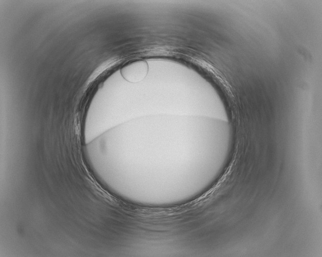 X0000115651450200912081115