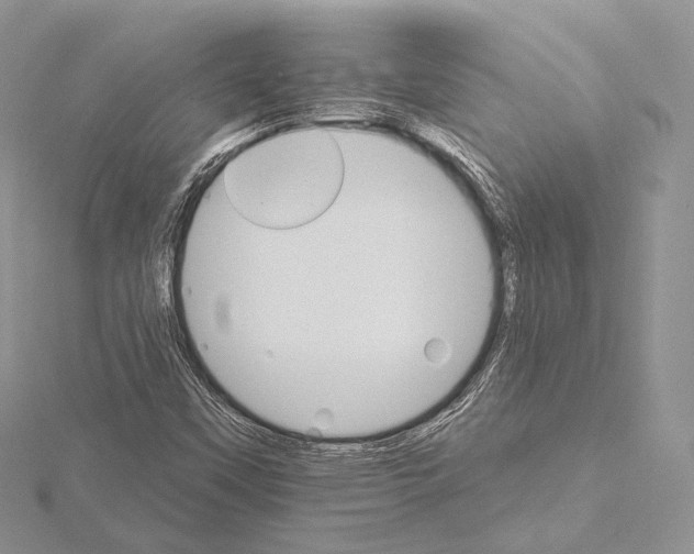 X0000115651451200912081115