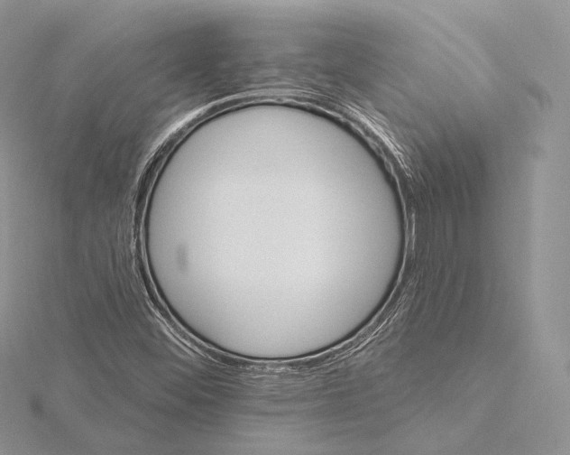 X0000115651452200912081115