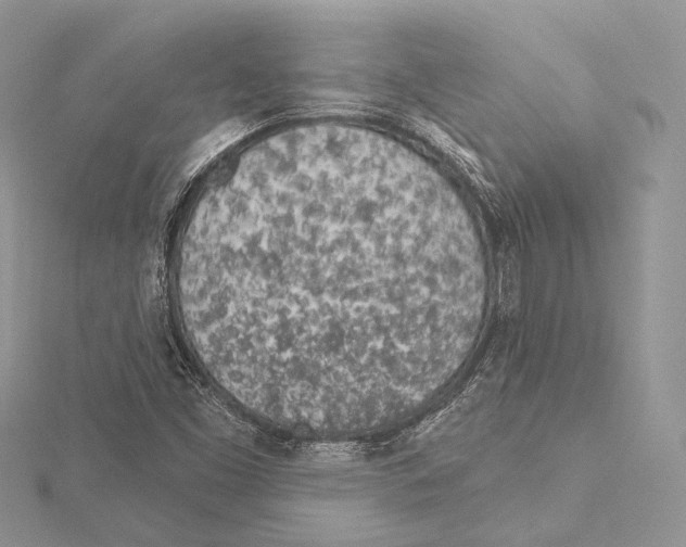 X0000115651453200912081115