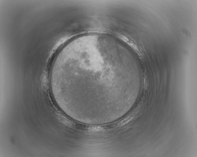 X0000115651454200912081115