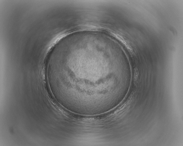 X0000115651455200912081115