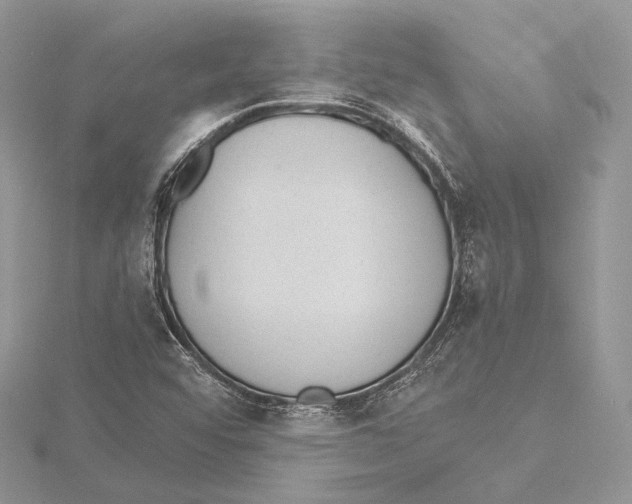 X0000115651456200912081115