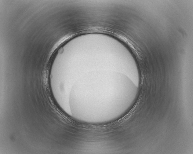 X0000115651458200912081115