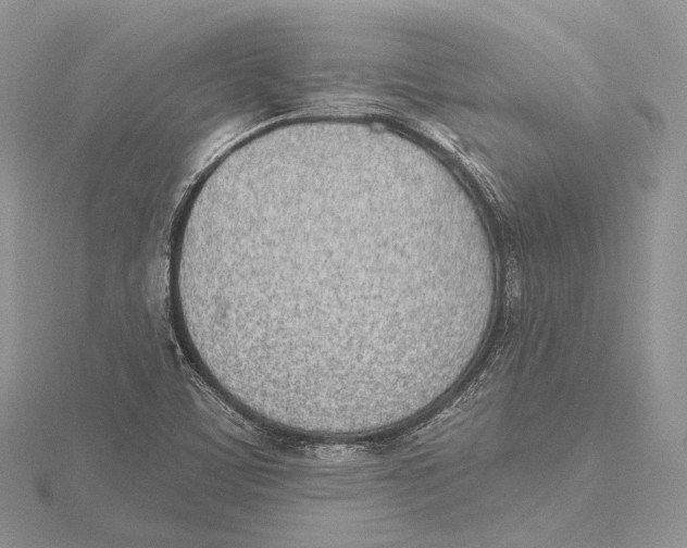 X0000115651459200912081115