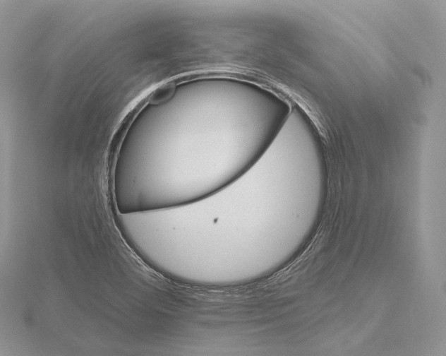 X0000115651460200912081115