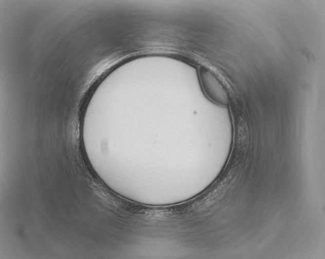 X0000115651461200912081115