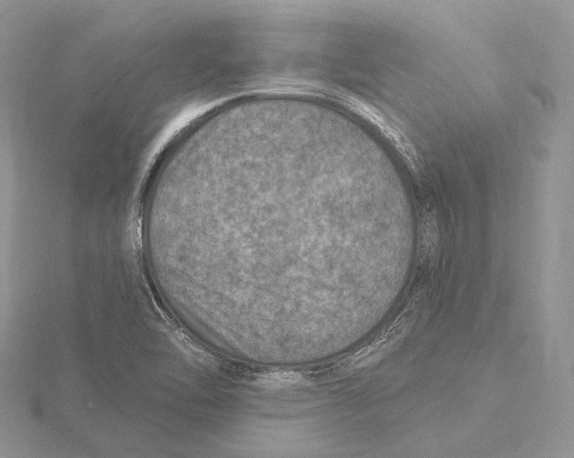 X0000115651462200912081115