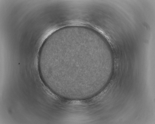 X0000115651463200912081115