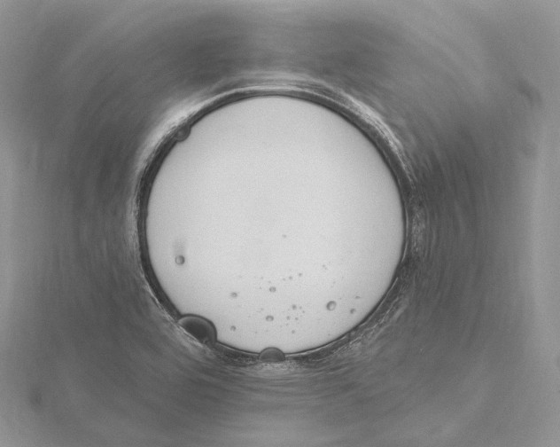 X0000115651464200912081115