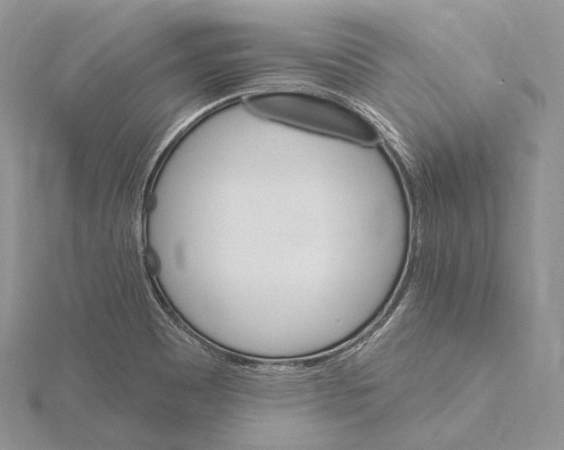 X0000115651465200912081115