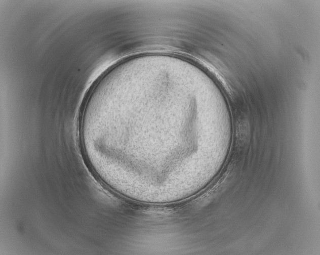 X0000115651466200912081115