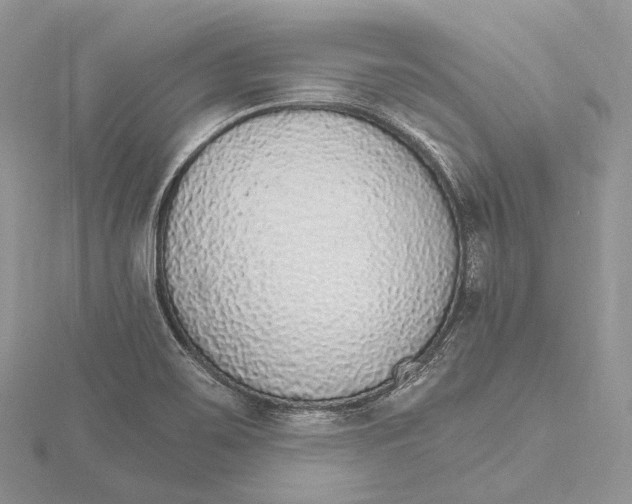 X0000115651467200912081115