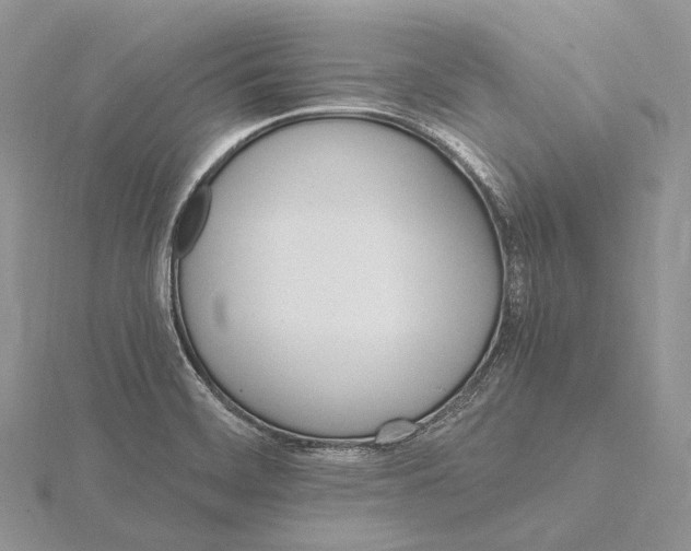 X0000115651468200912081115