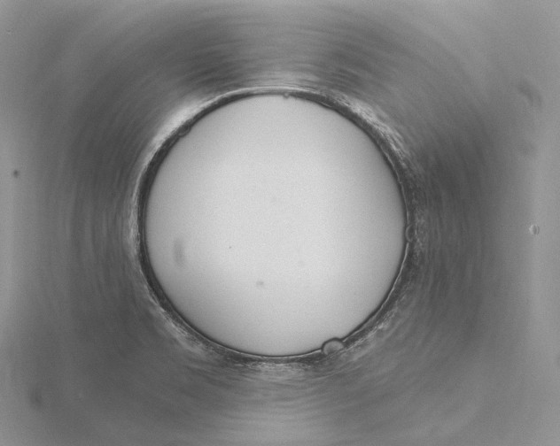 X0000115651469200912081115