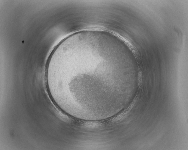 X0000115651470200912081115