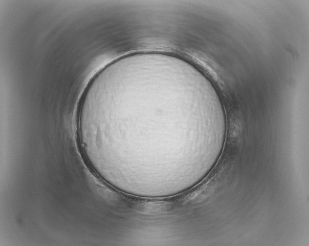 X0000115651471200912081115