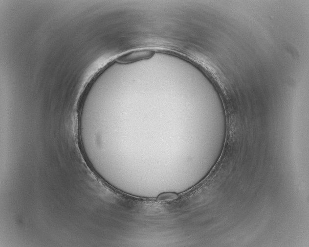 X0000115651472200912081115