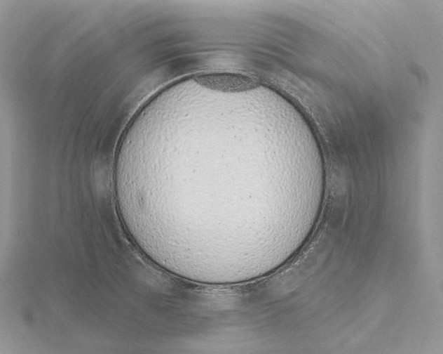 X0000115651473200912081115