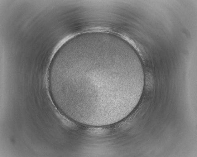 X0000115651474200912081115