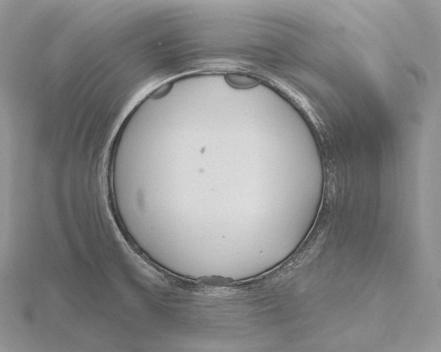 X0000115651475200912081115