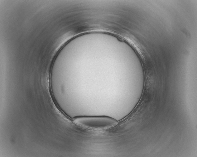 X0000115651476200912081115