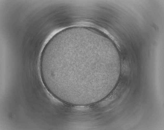 X0000115651478200912081115