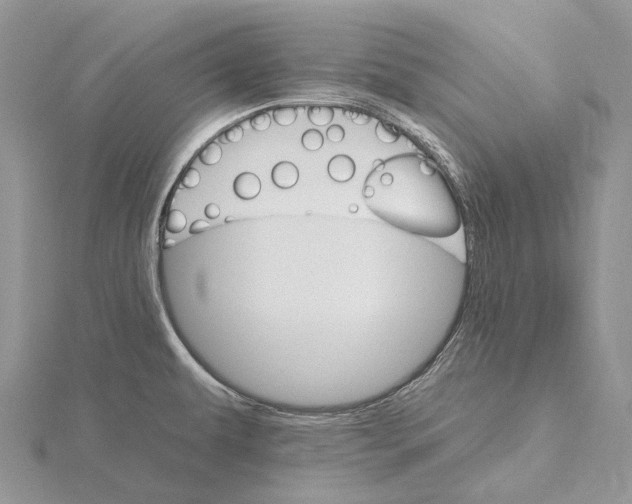 X0000115651479200912081115